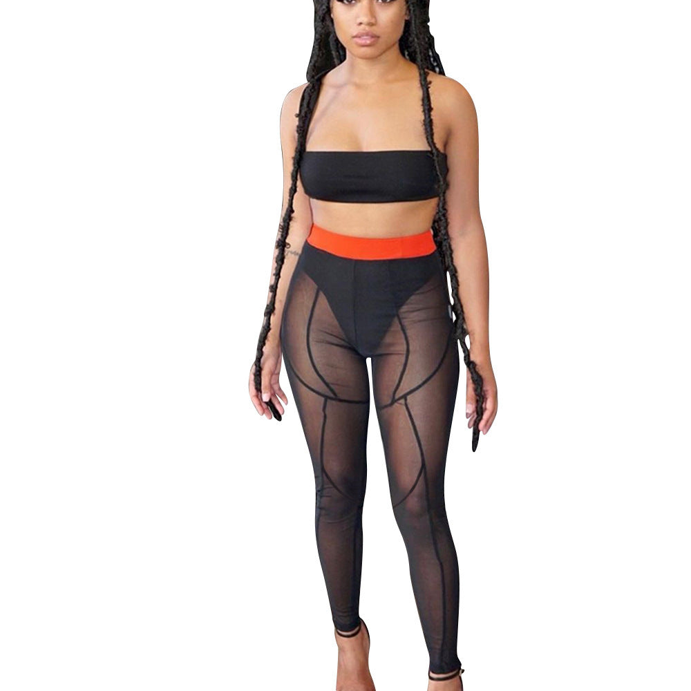 Color Matching Mesh Leggings
